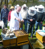 Gesunde Völkerführung